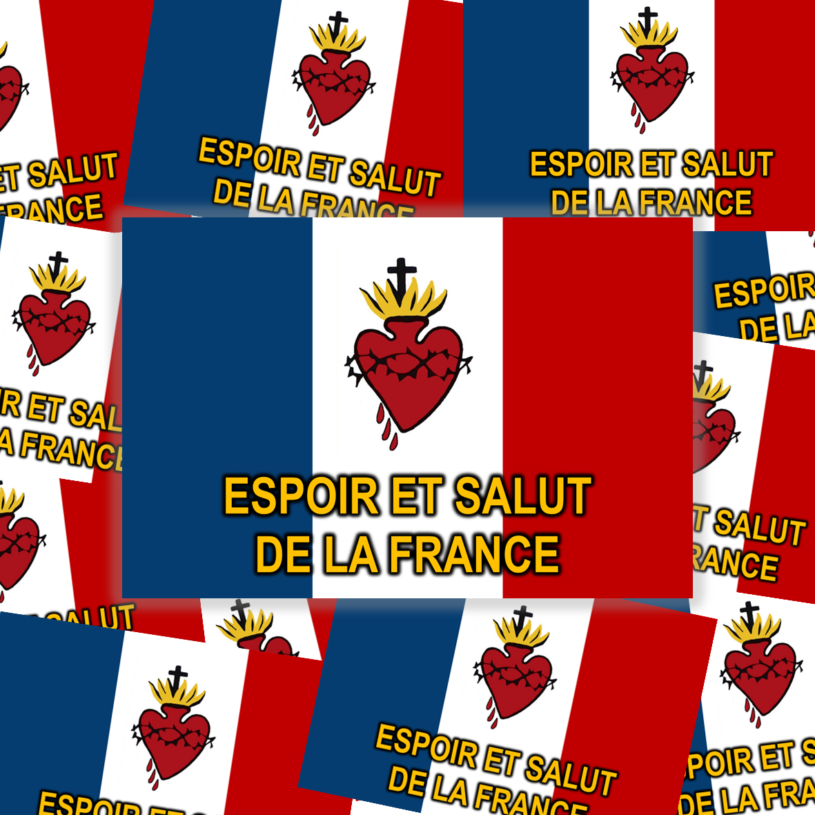 Pack de 100 stickers ESF